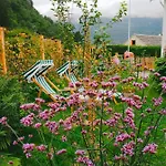 Hardanger Fjord בית הארחה *