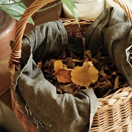 Hardanger Fjord Bondhus